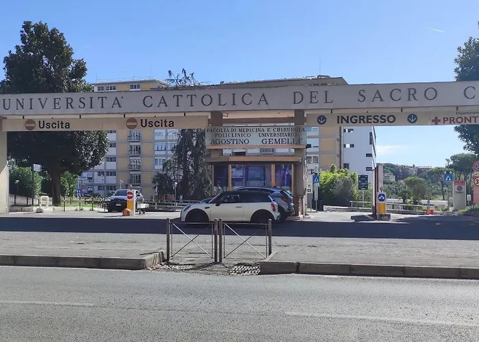 Gemelli Roma